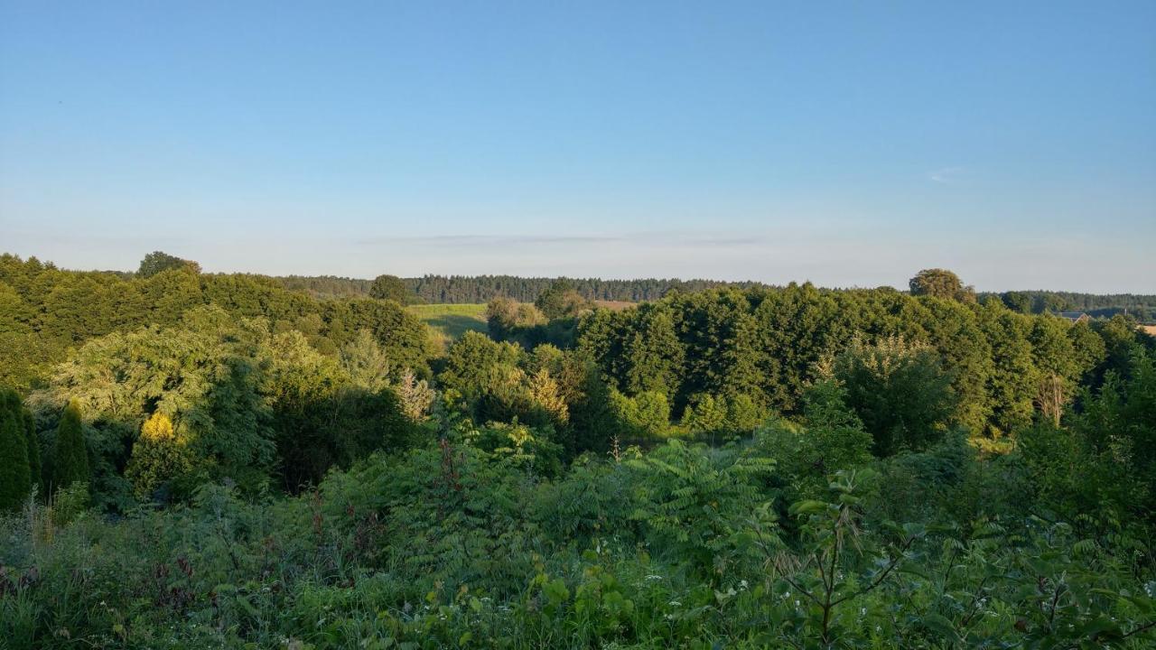 Przystanek Bajka W Puszczy Zielonce Dabrowka Koscielna Exterior foto