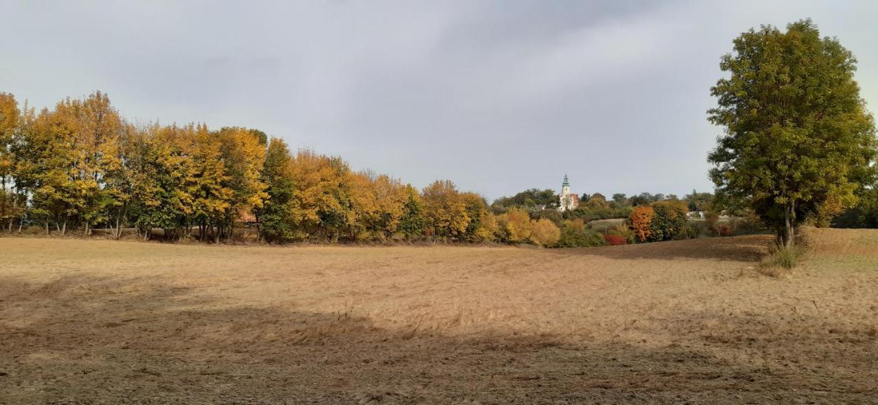 Przystanek Bajka W Puszczy Zielonce Dabrowka Koscielna Exterior foto
